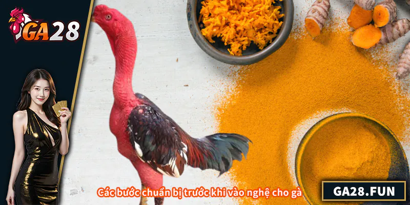 Các bước chuẩn bị trước khi vào nghệ cho gà