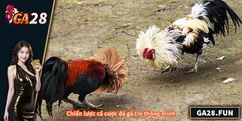 Chiến lược cá cược đá gà tre thông minh