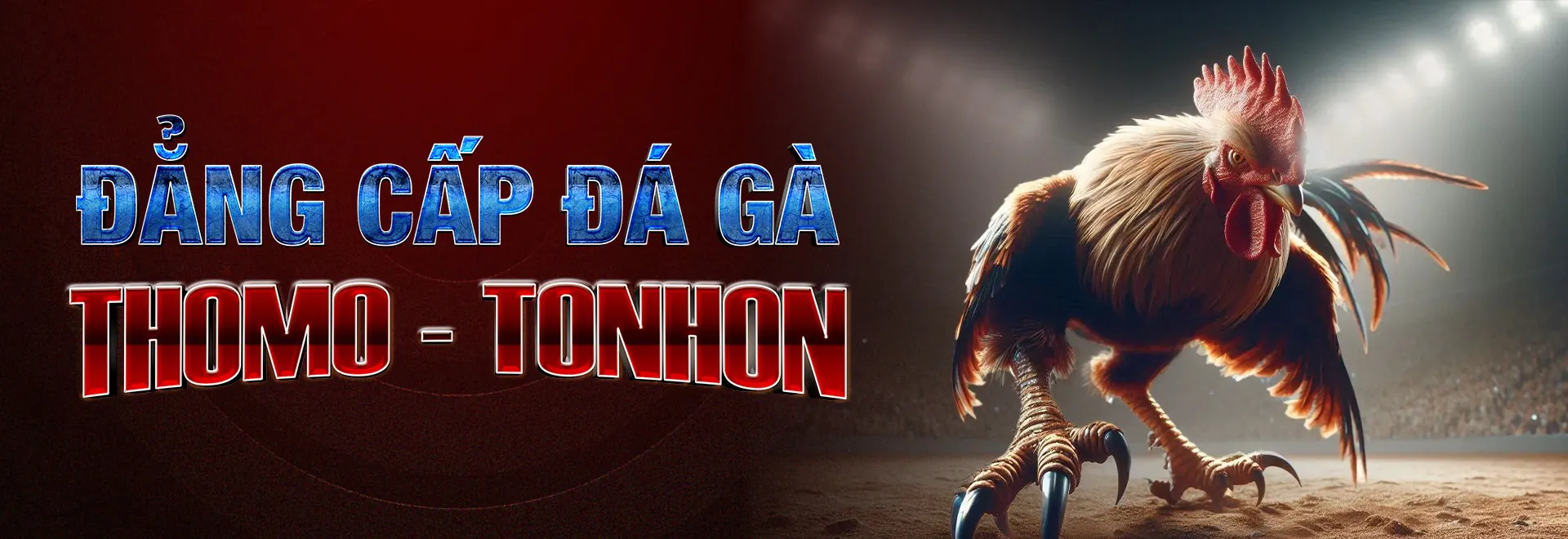 Đẳng cấp đá gà Thomo - Tonhon tại GA28