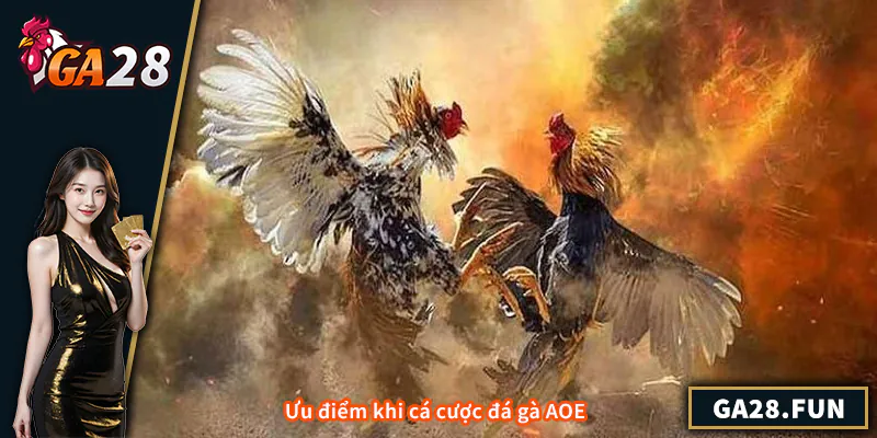 Ưu điểm khi cá cược đá gà AOE